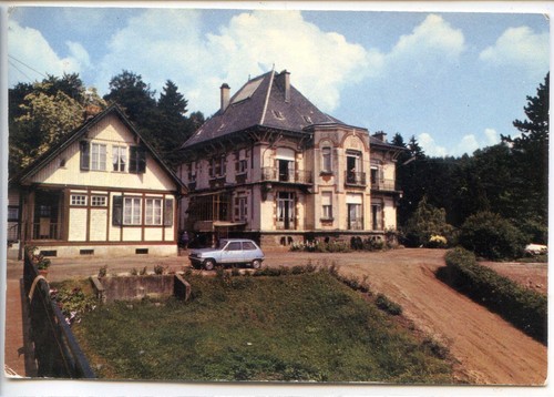 Vosges senones en salm - -,