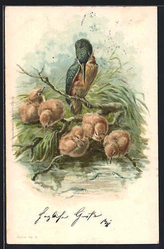 Lithographie oiseau glace - lithographie,