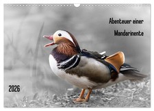 Aventures d'un canard mandarin