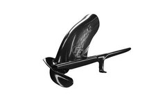 Garde boue arrière Carbone