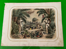 Gravure Couleur Ancienne , Jardin Des Plantes, Frontispice : Serre Des Plantes