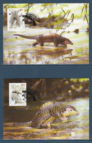 Carte wwf macau - carte,