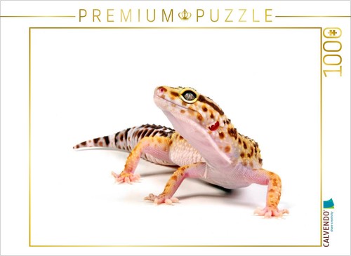 Puzzle calvendo gecko léopard - calvendo,