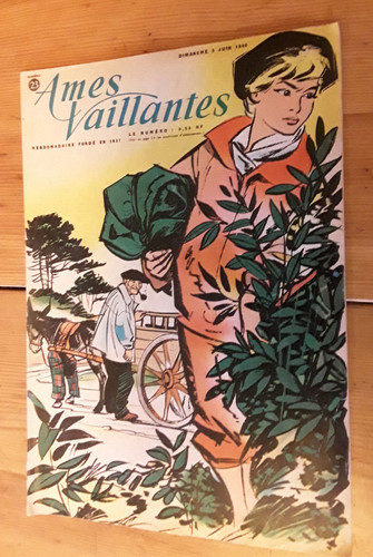 Ames vaillantes 5 - vaillantes, juin