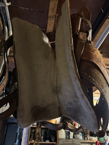 Selle américaine cheval - selle, de