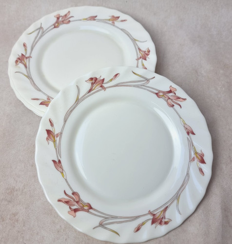 Assiette dessert arcopal - 5,