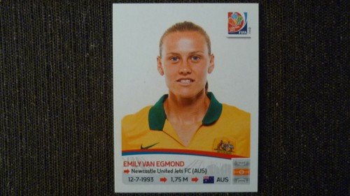 Vignette panini world cup - panini,