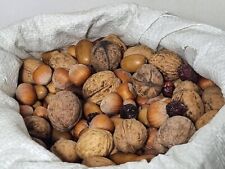 Nourriture pour écureuils et oiseaux | Noix - Mix, Glands, Cynorrhodons