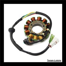 Stator Allumage pour Yamaha