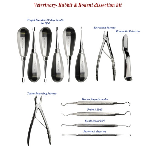 Ensemble instruments - ensemble, d'instruments
