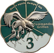 Rgt dragons - rgt,