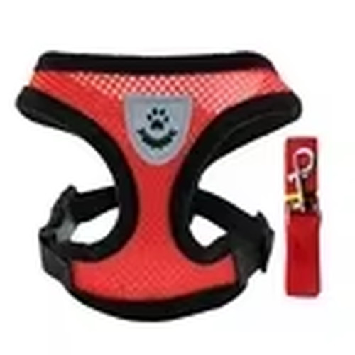 Harnais pour chien laisse - pour, chien,
