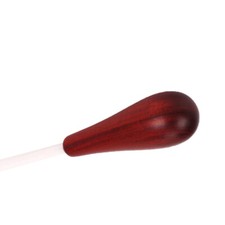 Basse Chef D'orchestre Bâton Bande Conducteur Baguette Conducteurs Batton