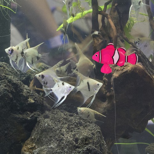 Pcs faux poisson - pcs, décoration