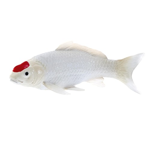 Mojo farmland koi karper - koi,