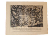 Retirage XIXe d'une gravure de RIDINGER (XVIIIe). " Comment on attire les....."