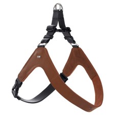 Hunter Collier Dimaro Cognac