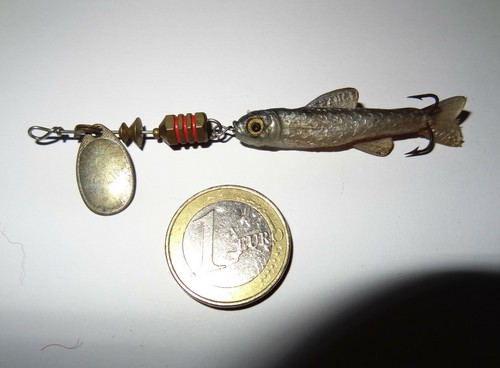 Ancienne cuiller vaironnée
