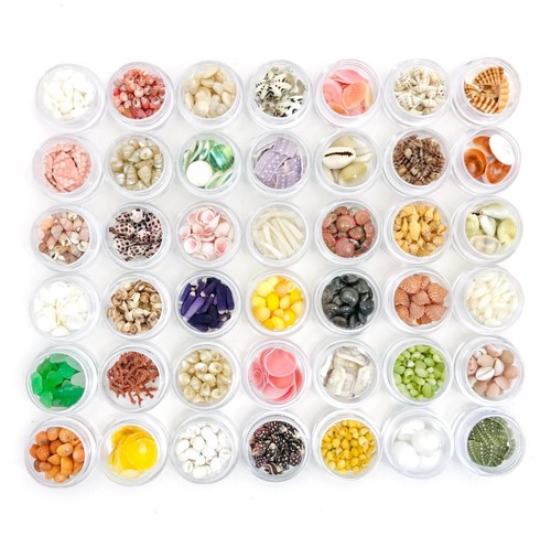 Mini coquillage lot de 42 - mini,