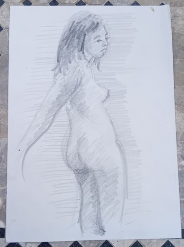 Magnifique dessin nu - dessin,