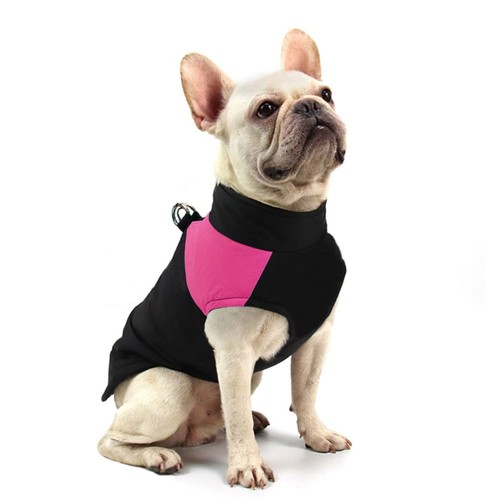 Manteau pour chien hiver - chien, d'hiver