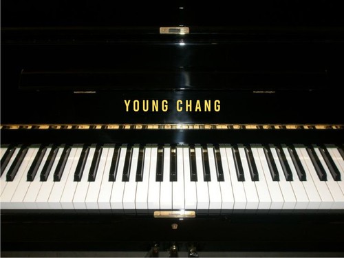 Young chang metallic gold - chang,