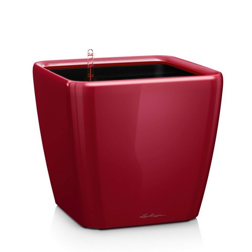 Pot fleurs interieur - pot,