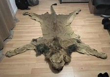 Peau de lion (Tapis)