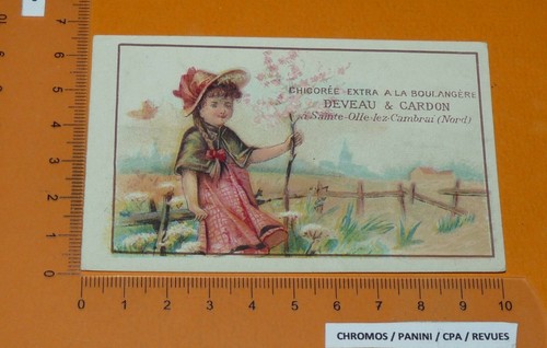 Chromo 1900 1910 chicoree la - chromo,