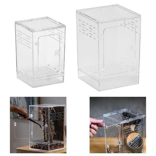 Terrarium transparent - , en
