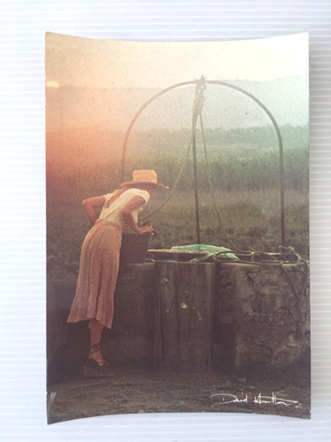Carte postale david hamilton - postale,