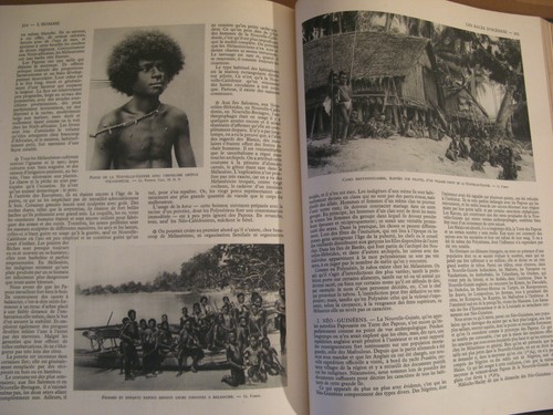 Homme histoire naturelle - homme,