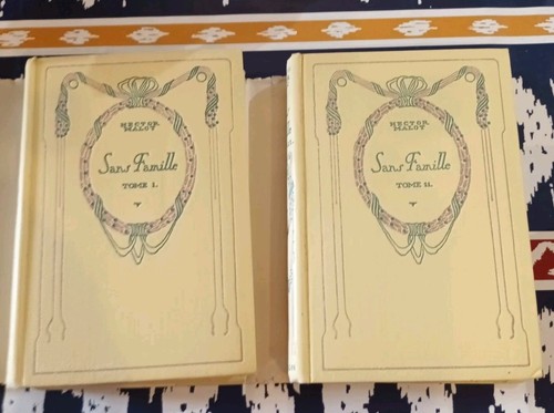 Lot tomes sans famille - lot, "sans