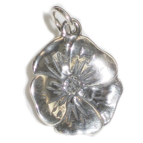 Breloque argent sterling - breloque,