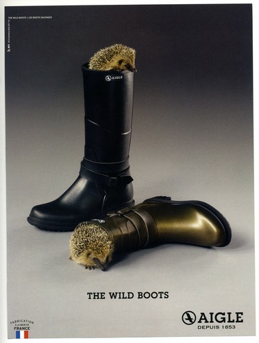 2018 the wild - 2018,