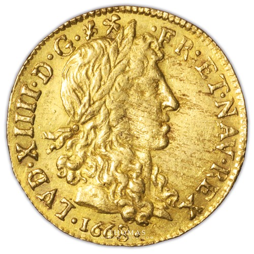 Louis xiv or buste - louis,