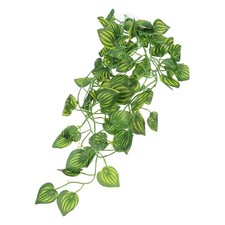  Décoration Pour Habitat