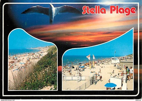 Carte postale stella - carte,