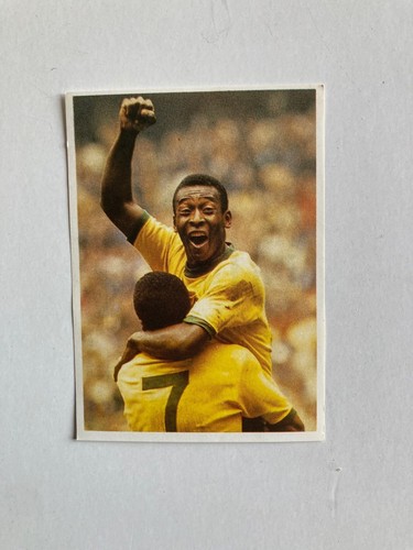 Image poulain pelé - poulain, 80