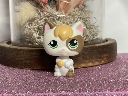 Petshop chaton - 💖🌺petshop,