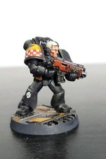 Pro Painted 40k  Dark Angel's