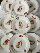 Assiettes Céranord semi vitrifié 24 cm