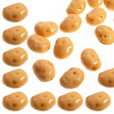  20 Pcs Decor Fruit Set Fausse