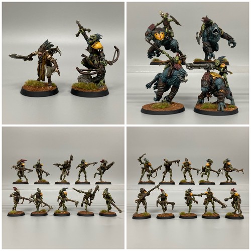 Kroot armée peint chasse - armée,