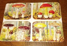 Images. LES CHAMPIGNONS