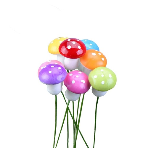 Pcs champignons miniatures - champignons,