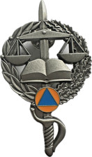 INSIGNE IGSC , ECHELON ARGENT