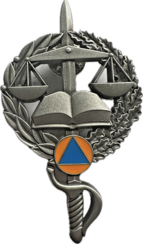 Insigne igsc echelon - insigne, argent