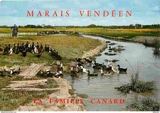 Animaux - Oiseaux - Canards - Le Marais Vendéen - La Famille Canard  - CPM - Voi