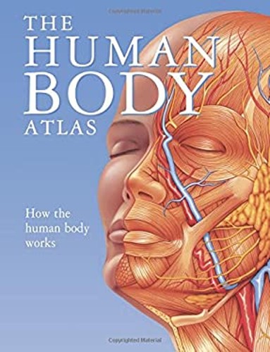 Atlas corps humain - l'atlas, du